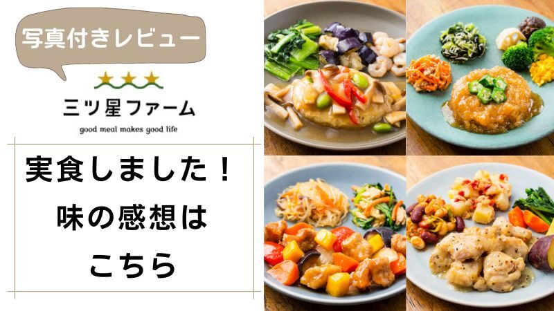 【写真付き実食レビュー】三ツ星ファームはおいしい？味の感想とメニューを紹介 