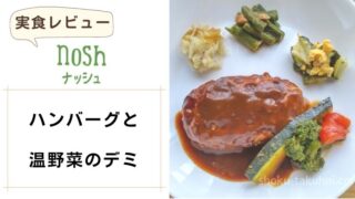 nosh（ナッシュ）|ハンバーグと温野菜のデミ 